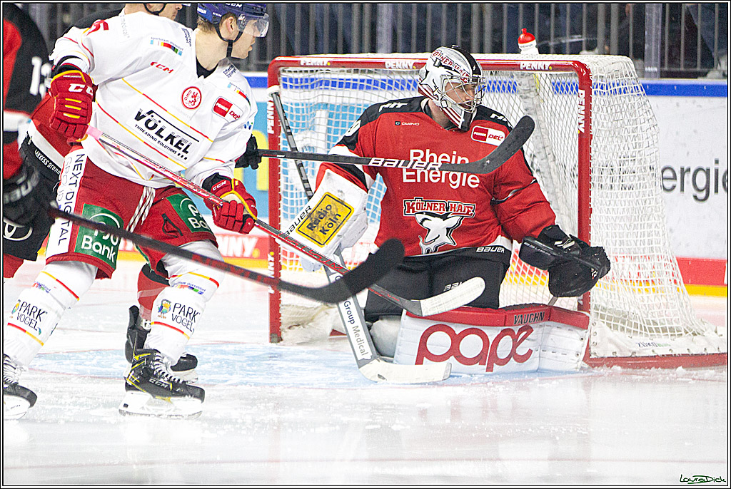 PENNY DEL;  Koelner Haie - Duesseldorfer EG; Koeln, 19.10.2021